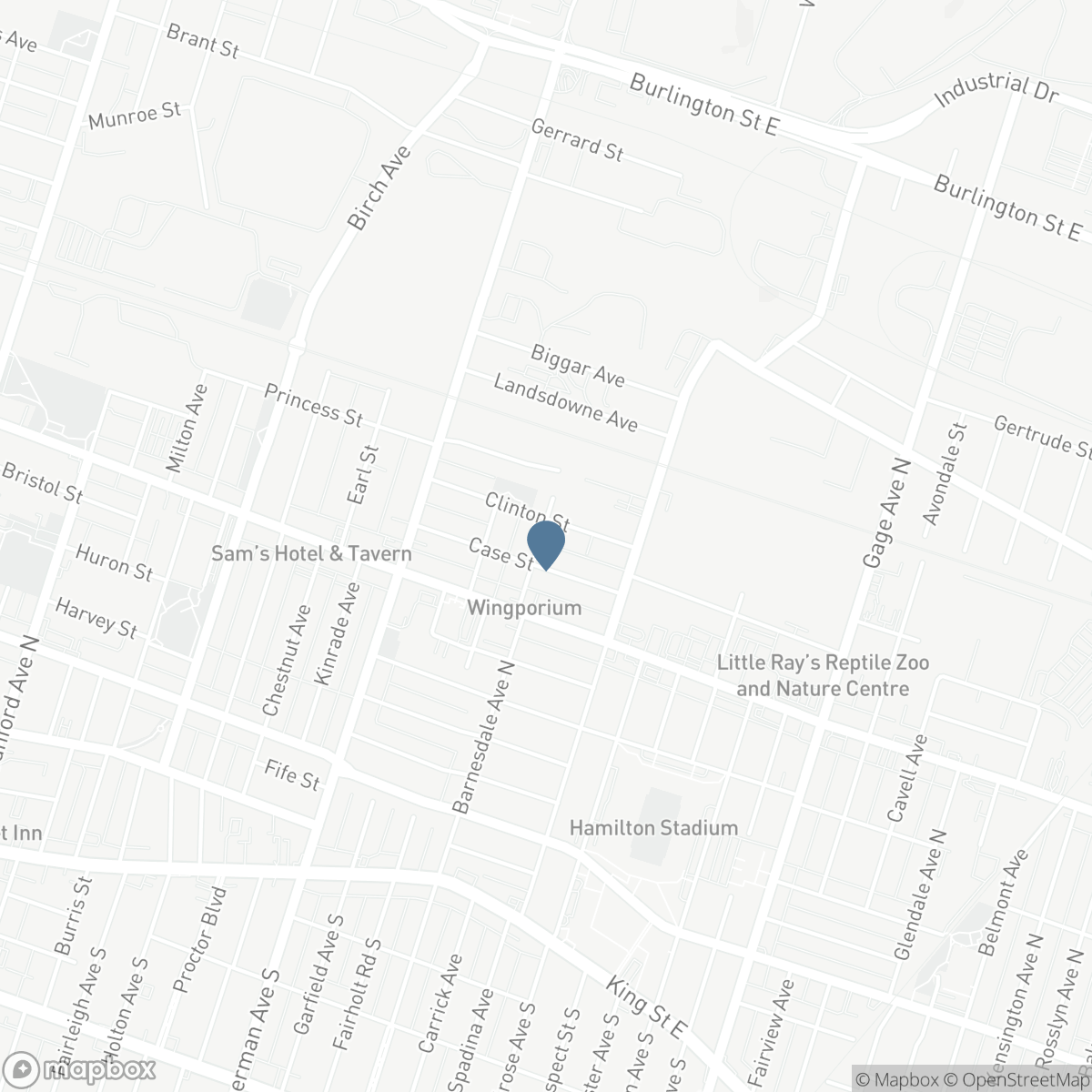 146 BARNESDALE Avenue N, Hamilton, Ontario L8L 6T2
